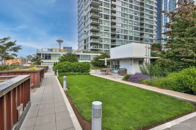 7th Floor Park Terrace/BBQ