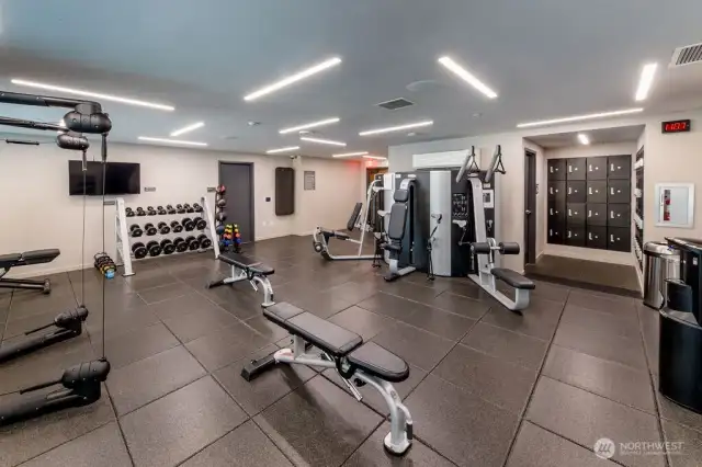 7th/8th floor Upper and Lower Gyms.