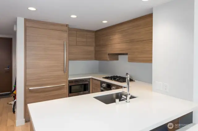 Modern sleek kitchen