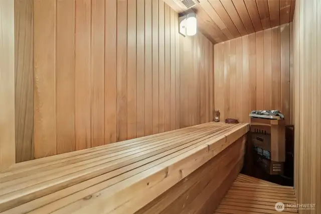 Primary bedroom Sauna in ensuite bathroom