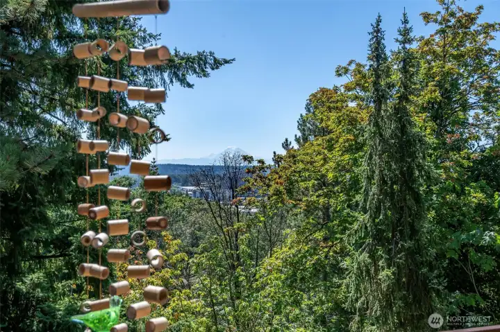 Take in the mountain in all its glory from the privacy of your deck.