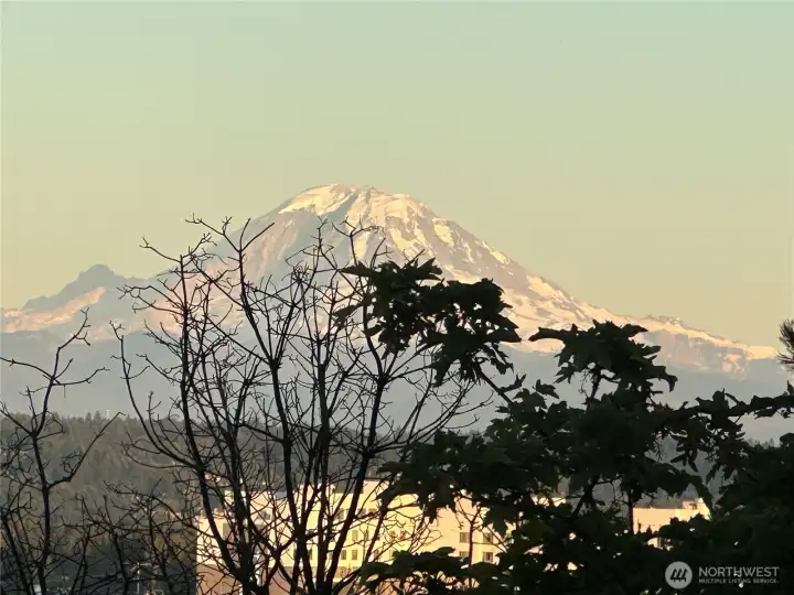 Stunning PNW views right from your home.