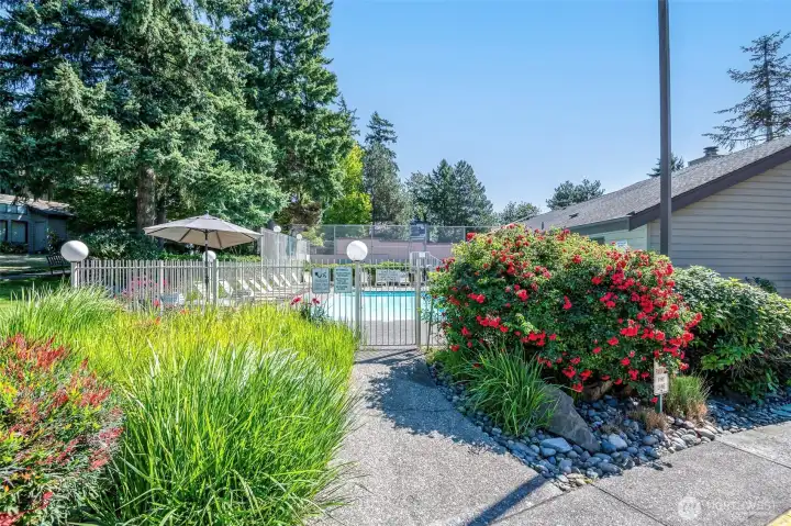 Outdoor pool, located at the cabana. You'll also find full tennis courts here as well!