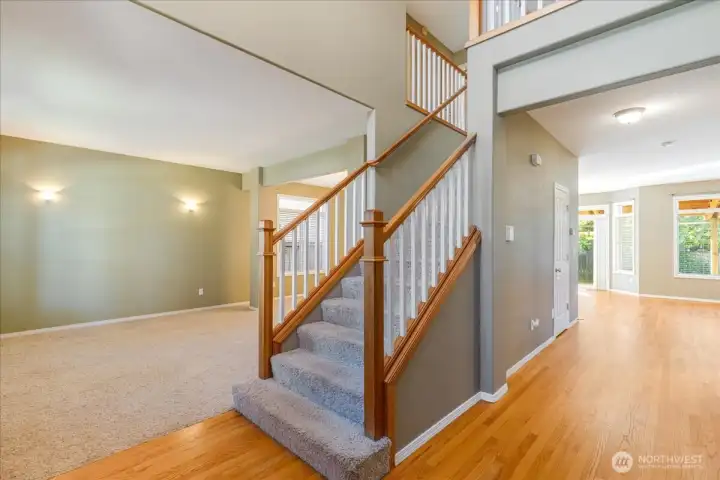 Entrance/Foyer/Staircase