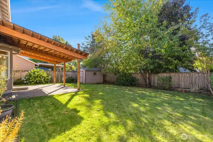 Back Yard - Tool Shed