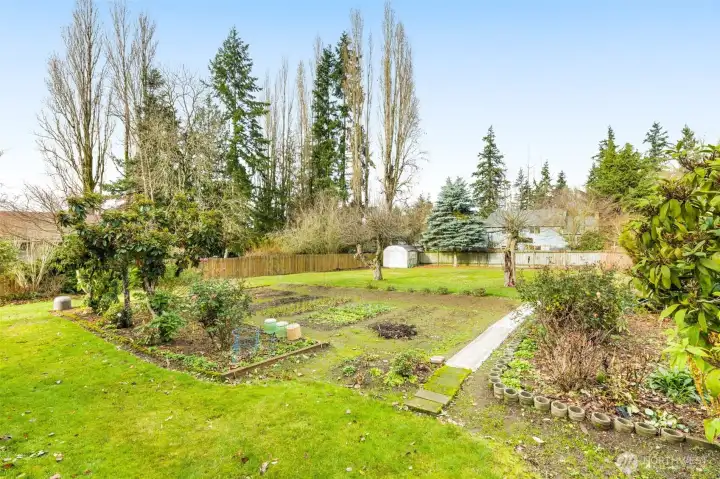 Rare: massive level backyard