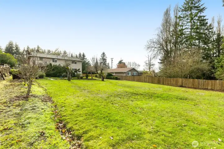 Rare: massive level backyard