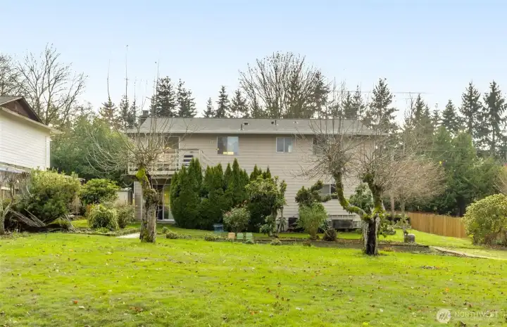 Rare: massive level backyard