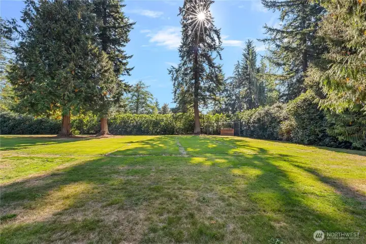 YEP! That's a baseball backstop. The yard is partially surrounded by giant hedges.