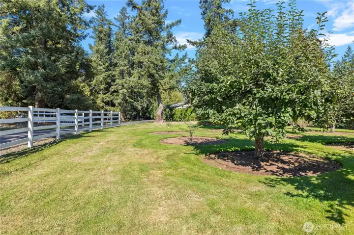 A glimpse of the orchard just inside the front gate.