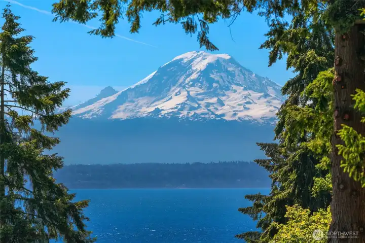 Epic Mount Rainier views
