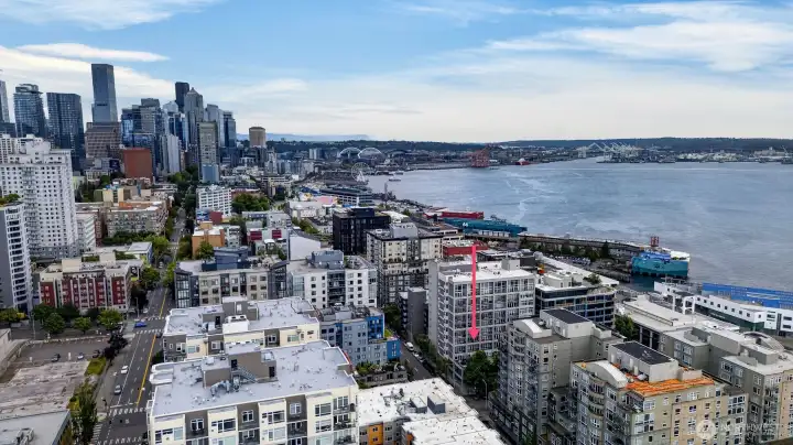 Walk to the new Waterfront Park, Pike Place Market or the Seattle Aquarium. Everyone will want to come visit!