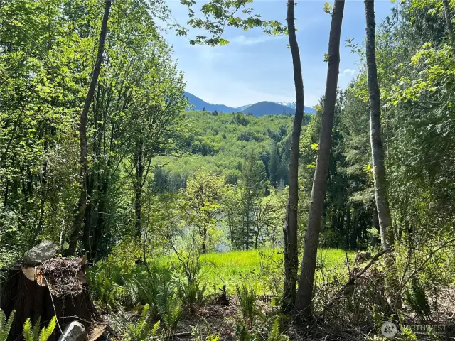 Partial view of the lake.