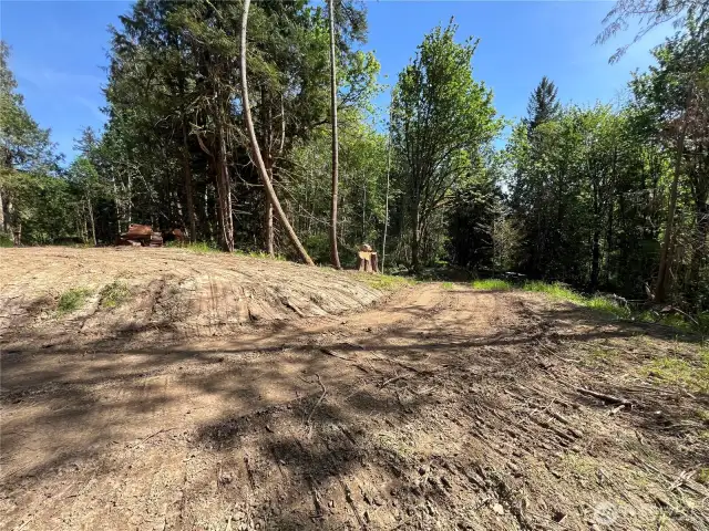 Lots of open & sunny area for your future home.