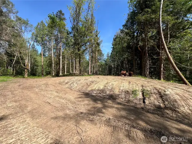 What would you do with 10 acres?