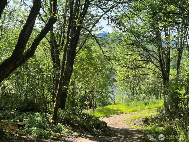Looking down the driveway to the lake.