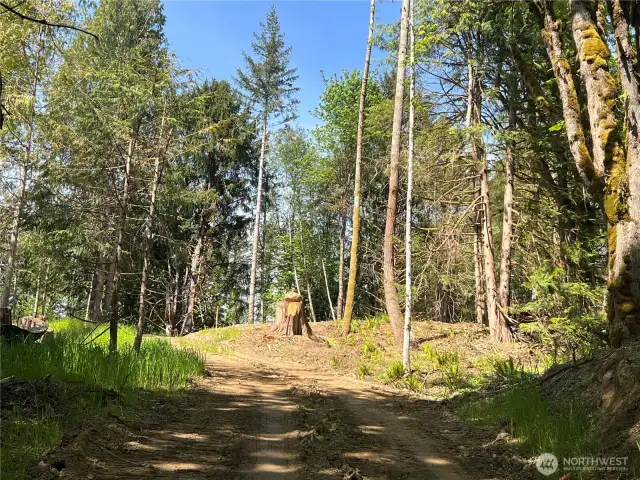 Road up to one of the many homesites.