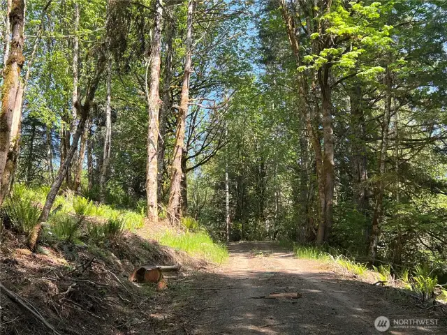 Roadway to other parts of the property.