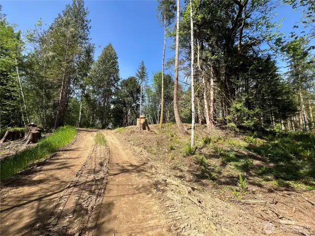 Nice homesite ahead.
