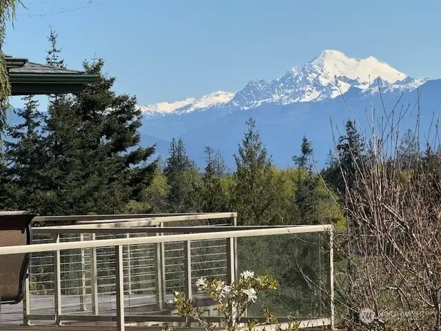 Mount Baker looks majestic and close enough to reach out and touch!