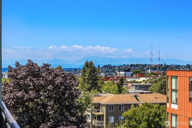 View from the patio to the Olympic Mountains.