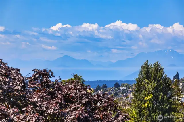 Mountains and peekaboo Sound views from the bedroom.