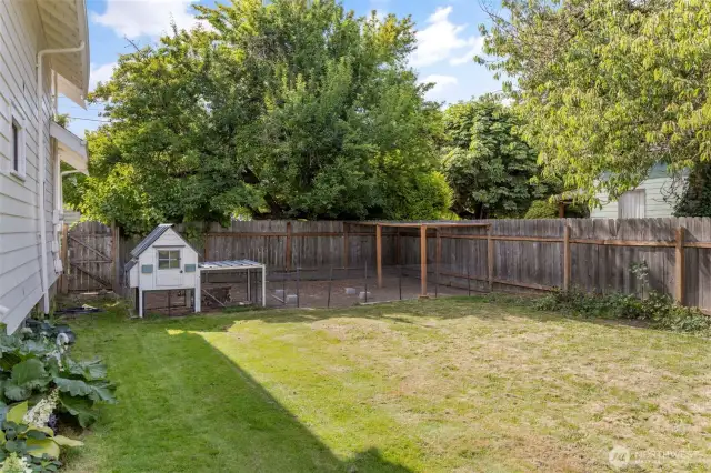 Chicken coop included in sale
