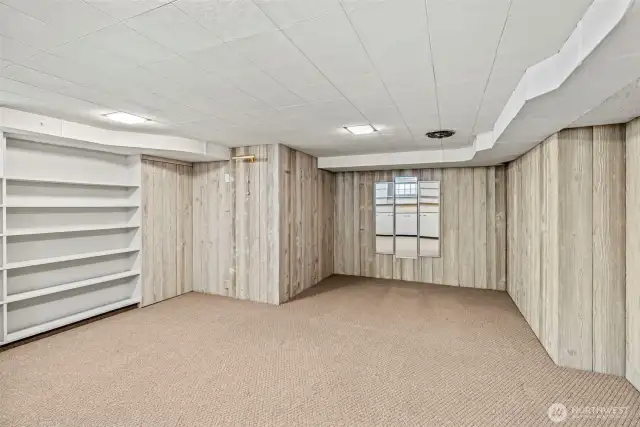 Build ins galore in the finished basement