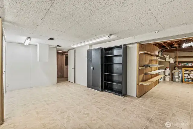 Laundry and storage area in basement