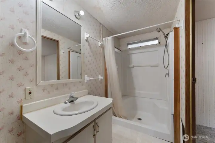 Primary bathroom with walk-in shower. Toilet is to the left of the picture.