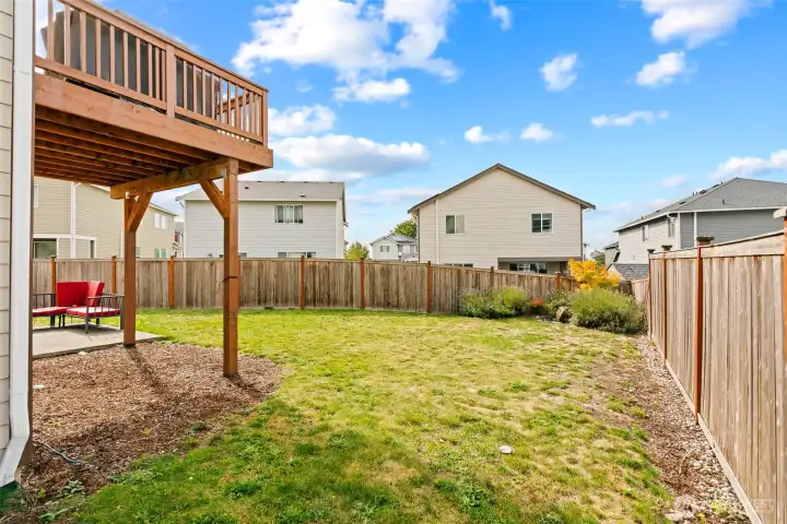 Large, fenced back yard