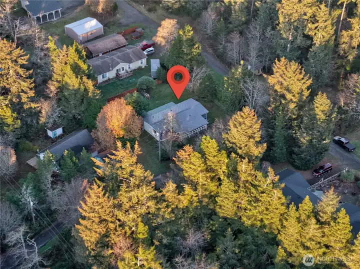 mature trees and large quiet lot mature trees and large quiet lot