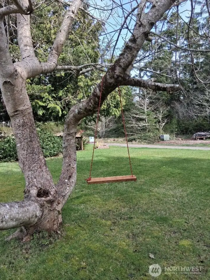 back yard back yard