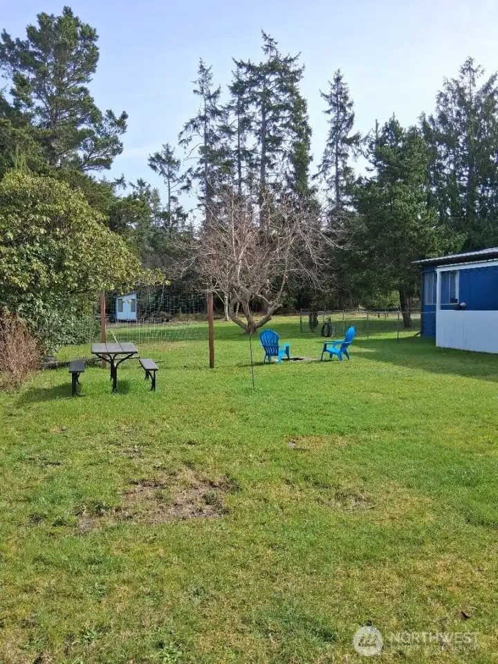 back yard back yard