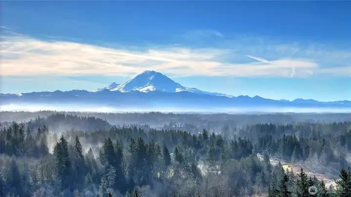 Enjoy gorgeous Mt. Rainier views in this exceptional neighborhood!