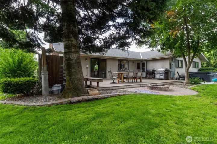 Expansive and Private Back Yard