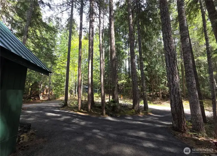 Circle Driveway