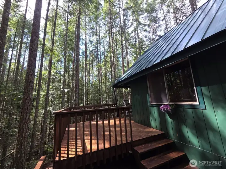 Lake Cushman Private Park Access Div 1  Volleyball Net located across the road from this cabin Swings, Climbing Bars, Slide, Basketball Court, Restrooms with Showers