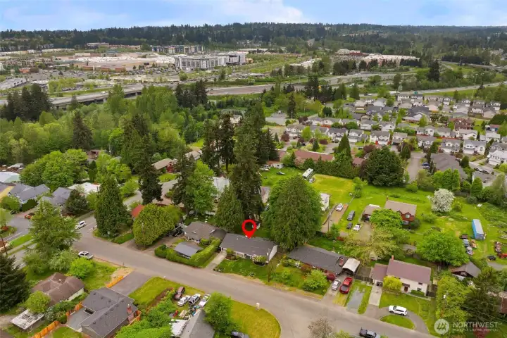 Alderwood Mall Area