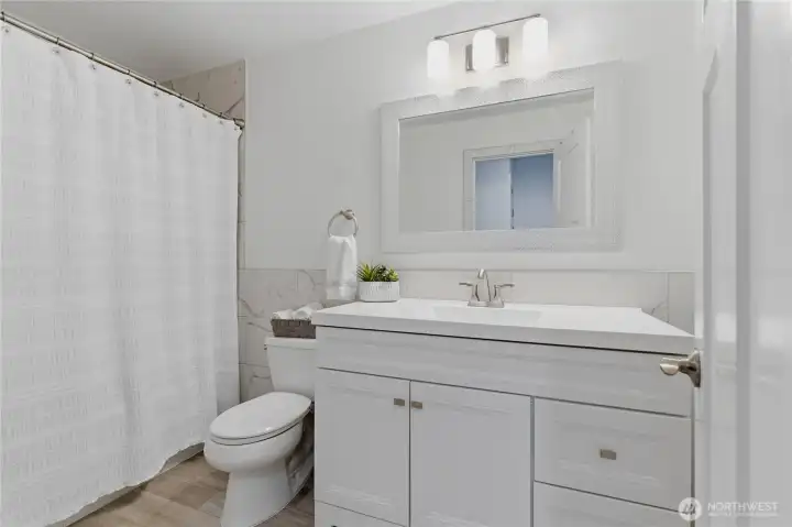 Lower Level Bathroom