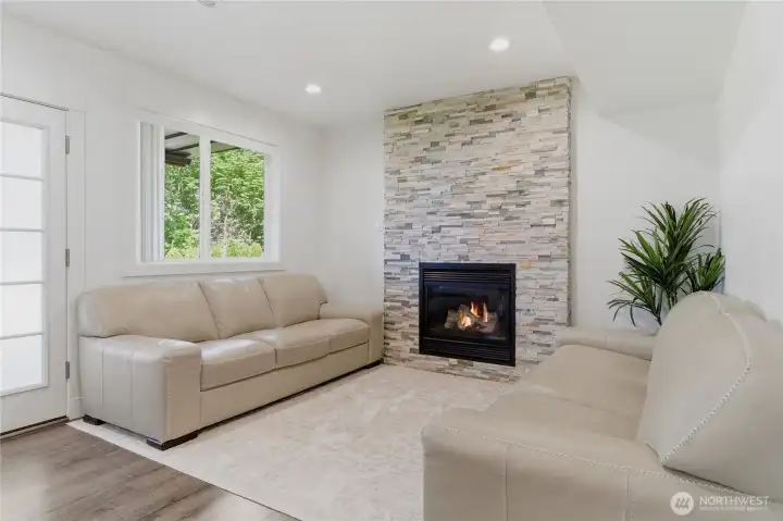 Lower Level Living Room
