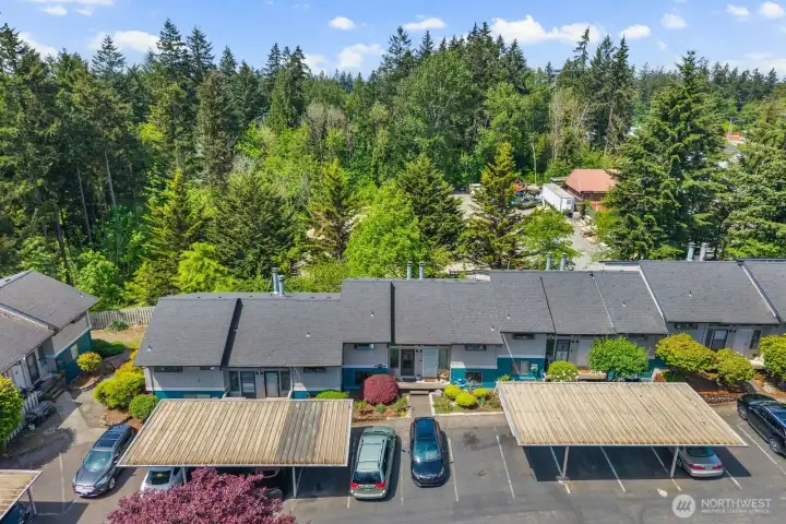 Aerial view of the community surrounded by mature trees and natural green space.