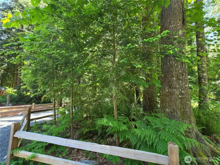 You are surrounded by greenbelt areas for your privacy & enjoyment. You are surrounded by greenbelt areas for your privacy & enjoyment.