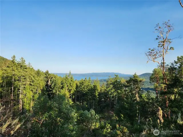 Hood Canal View