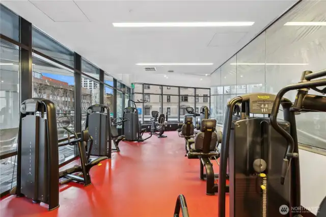 Gym/Pool
