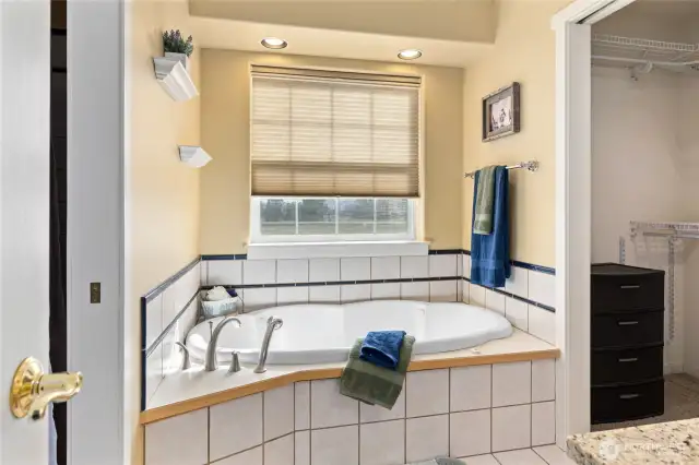The primary suite boasts a deep jetted tub, a separate shower, and a spacious walk-in closet.