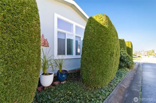 Privacy hedges