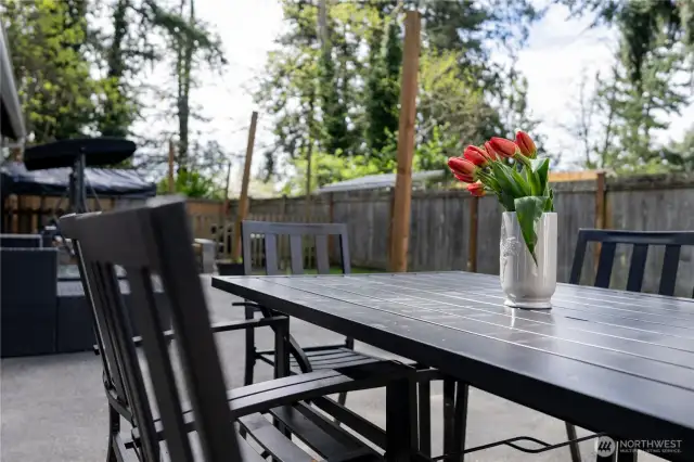 View of Back Yard