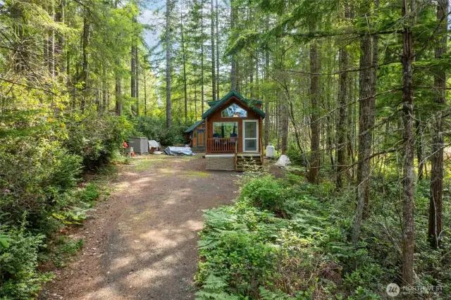 long driveway to your retreat!