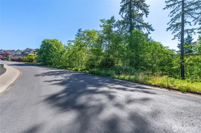 Well maintained neighborhood